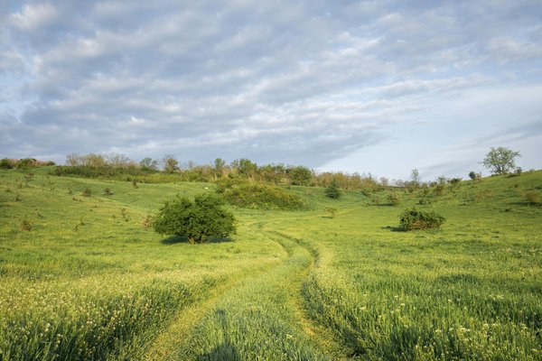 Où apprendre les techniques de fabrication de fromage en France?